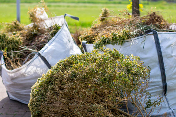 Professional Junk Removal Services in Central, TN